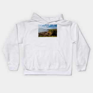 Looking south from Rocky Island, Seaton Sluice Kids Hoodie